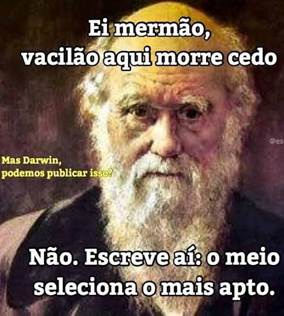 Ei mermão, vacilão'aqui morre cedo Mas pedemos pulblicar Não. Escreve aí: o meio  seleciona o mais apto. EN - iFunny Brazil